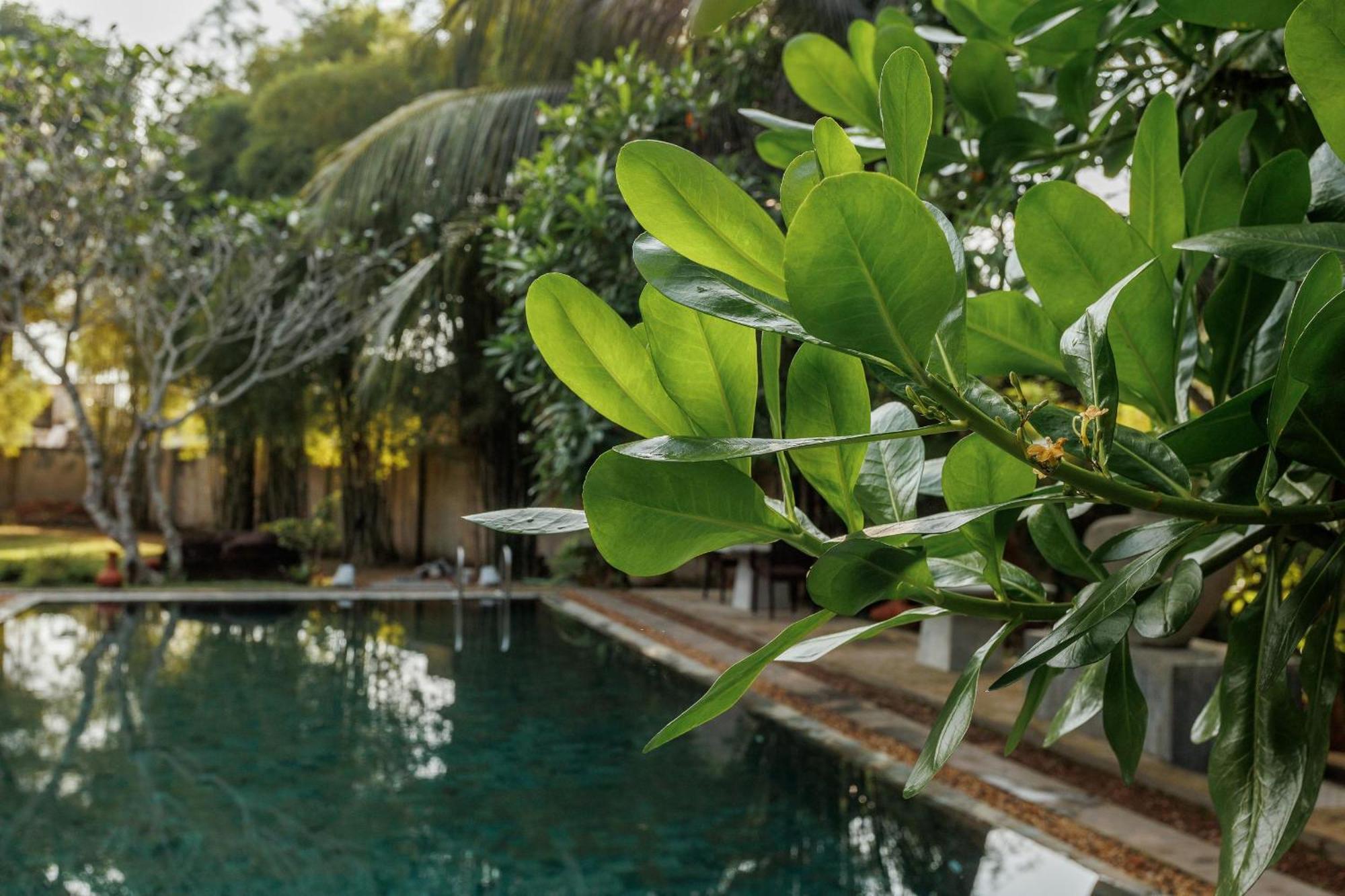 Villa White Queen Галле Экстерьер фото